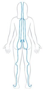 Bladder Meridian